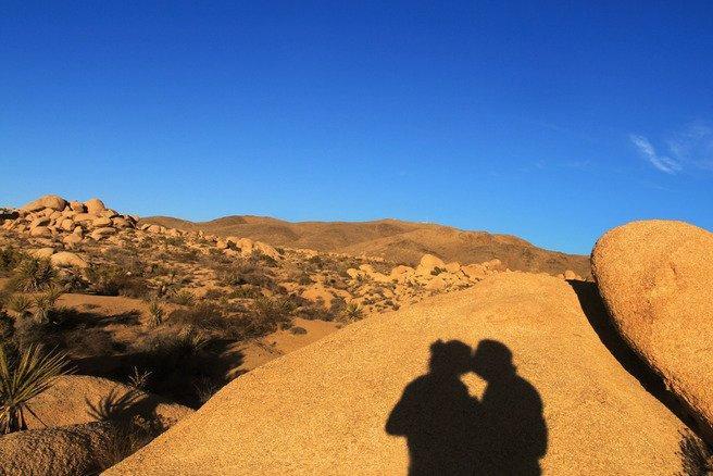 9 Palms Inn Twentynine Palms Dış mekan fotoğraf